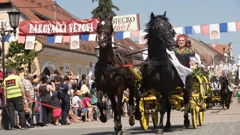 Đakovački vezovi, 2019.