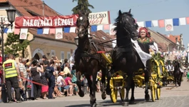 Đakovački vezovi, 2019.