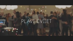 Plavi cvijet