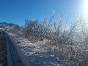 stara cesta , Foto: FB//