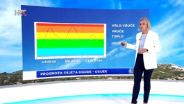 Tanja Renko