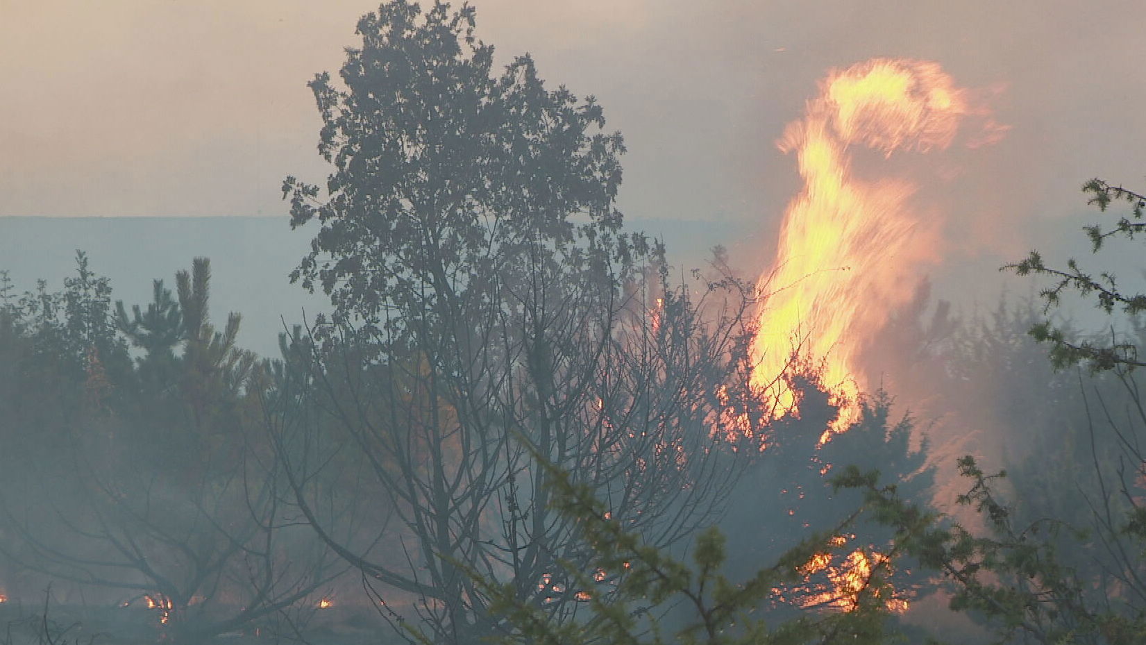 si rd pripreme protupozarne astrelov frame 2004 20260313153823