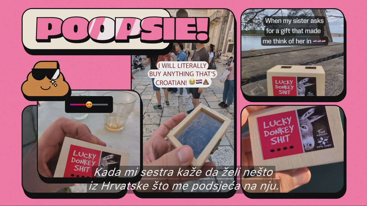 Recenzija