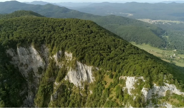 Godišnja doba prašume Krokar