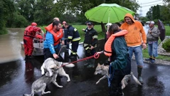 Civilna zaštita i HGSS spašavaju životinje iz poplavljenjih domova, Foto: Davor Puklavec/PIXSELL