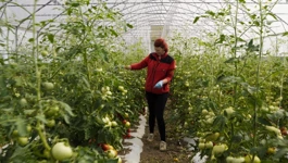 Ponedjeljak, 27. listopada na Prvom 