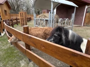 ., Foto: HRT Radio Osijek/HRT Radio Osijek