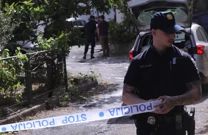 Podmetnuo požar, bježao od policije pa izazvao prometnu nesreću, Foto: Ivo Cagalj /PIXSELL
