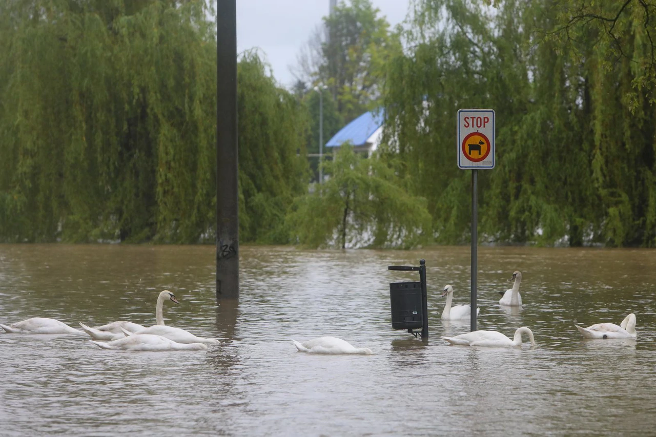 Karlovac: Izvanredno stanje na rijeci Korani, Foto:  Kristina Stedul Fabac /PIXSELL
