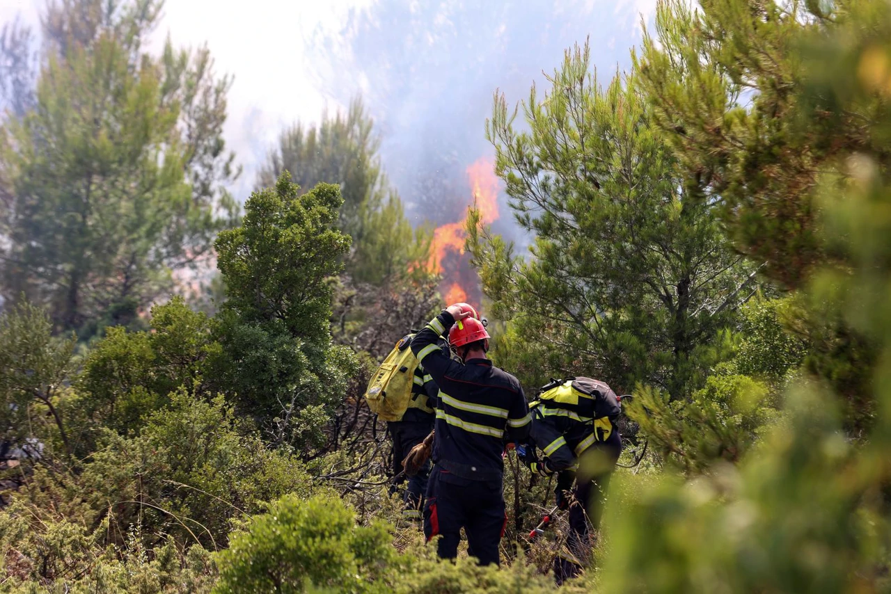 Požar kod Šibenika, Foto: Dusko Jaramaz  /Pixsell 
