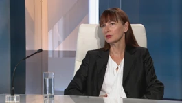 Vesna Vučemilović