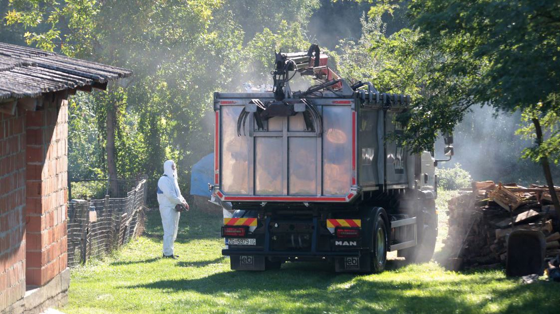 In Slawonien beginnt die Euthanasie von Schweinen, es werden neue Sicherheitsprotokolle eingeführt 10 afk23131 20250921065852
