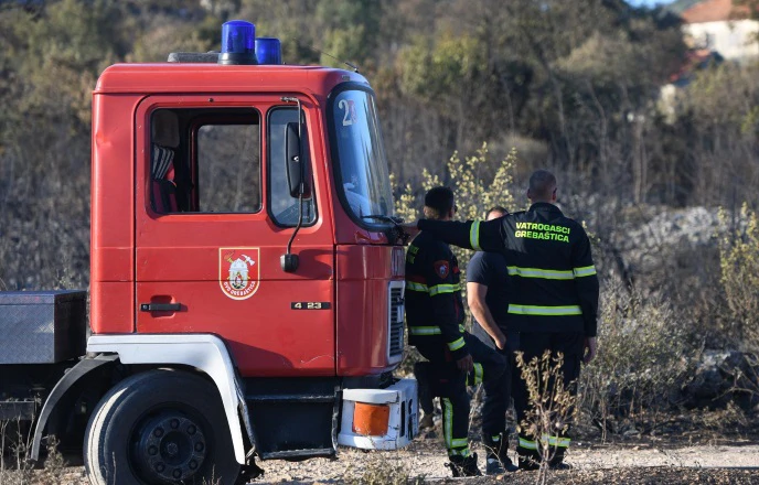 Požar kod Zatona, Foto: Hrvoje Jelavic  /Pixsell 