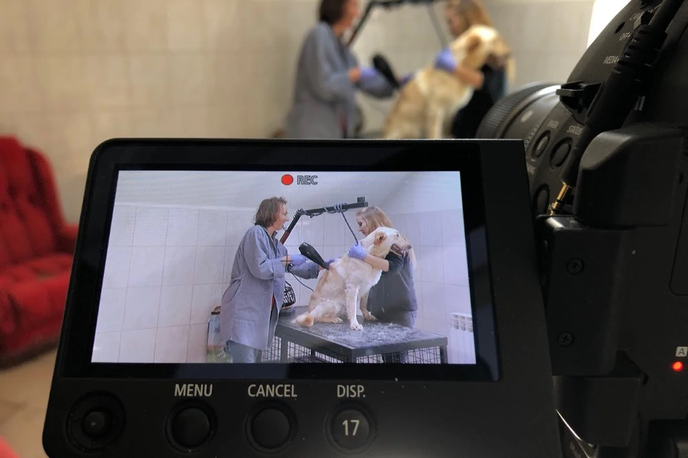 Na HRT-u premijerno dokumentarni serijal "Udomi me", Foto: Press/HRT