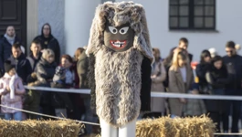 Đakovački bušari