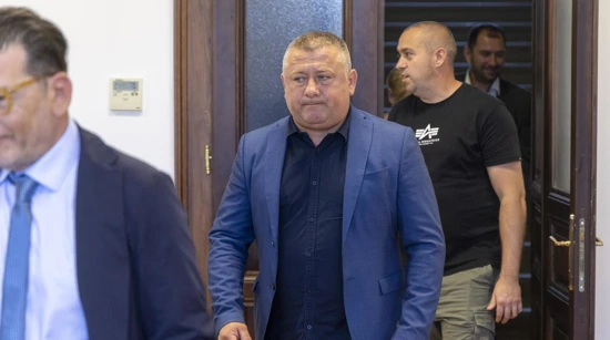 Damir Dekanić