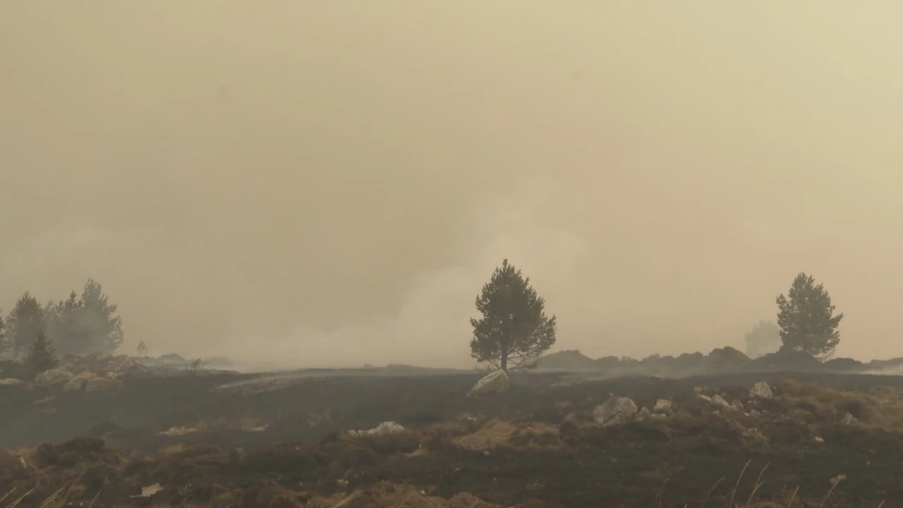 Požar u BiH, Foto: HTV/HRT 