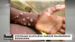 Majmunske boginje
