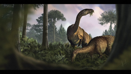 Dinosauri