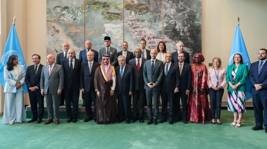 Konferencija UN-a o Palestini