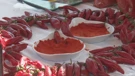 Paprika fest