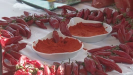 Paprika fest