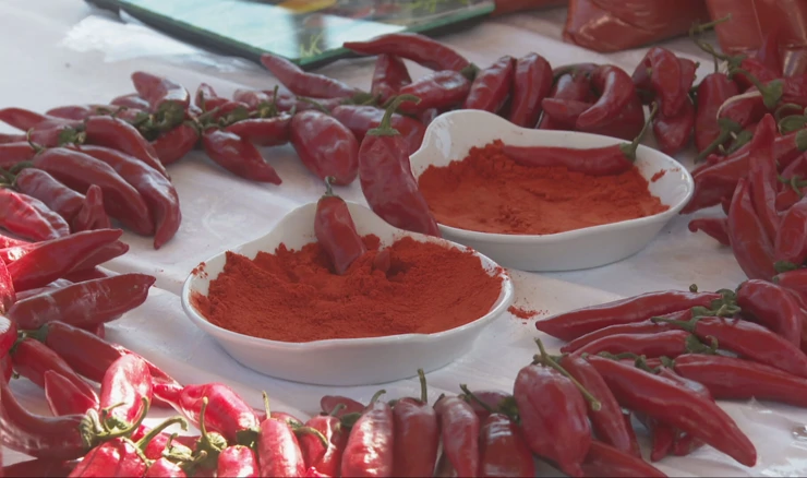 Paprika fest