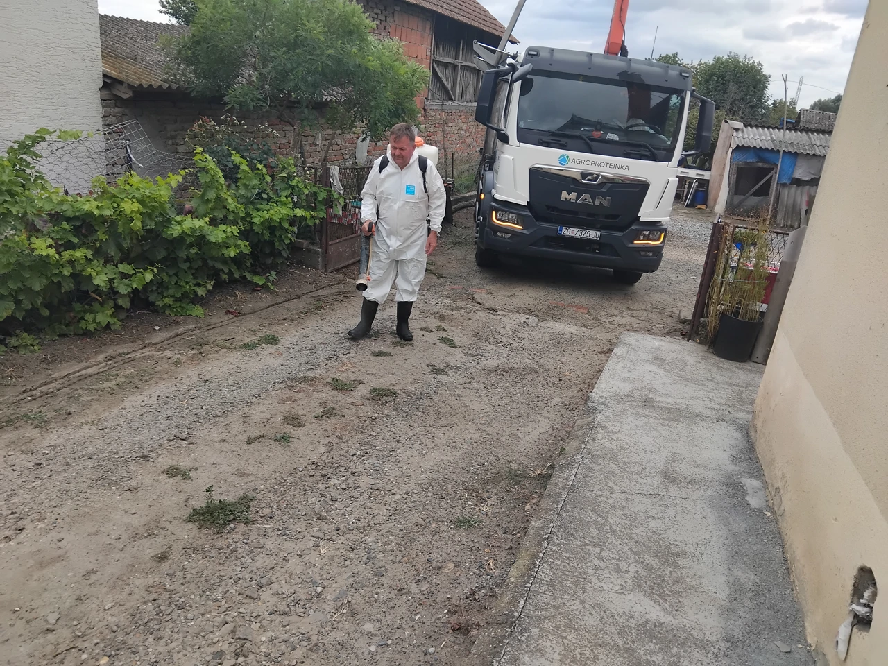 Eutanazija svinja na području Općine Jagodnjak