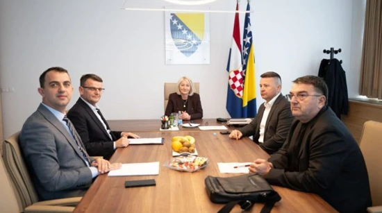 Sastanak kod Borjane Krišto 