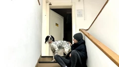 Srijeda, 18. ožujka na Prvom , Foto: Psi na zadatku /2. sezona  dokumenarne serije 