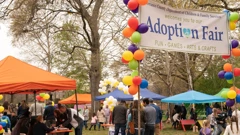 Četvrtak, 25. prosinca na Prvom, Foto: Instant Family/film