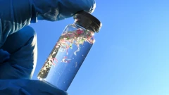 Plastika i mikroplastika