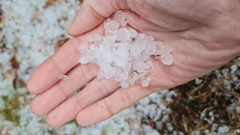 Tuča u Žminju, Foto: Klara Dujmović/HRT