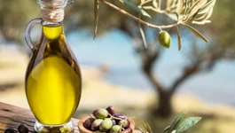 Hrvatska maslinova ulja najzdravija na Mediteranu