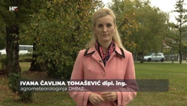 Ivana Čavlina Tomašević