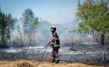 Požar na području Đevrske - Tošići, Foto: Nikolina Vukovic Stipanicev/CROPIX