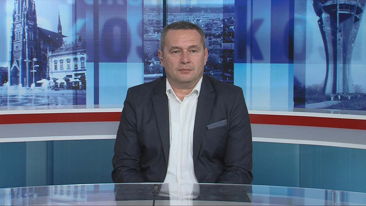 Mato Palić, Pravni fakultet u Osijeku
