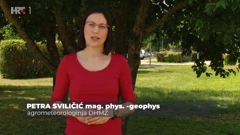 Petra Sviličić