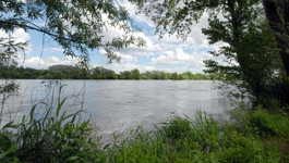 Drava