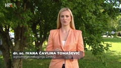 Ivana Čavlina Tomašević