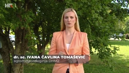 Ivana Čavlina Tomašević
