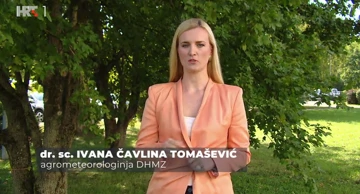Ivana Čavlina Tomašević