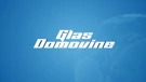 Glas domovine