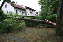 Poljanice, Zagreb, Foto:  Goran Mehkek/CROPIX