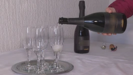 Pjenušac iz srca Srijema