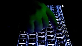Cyber kriminal