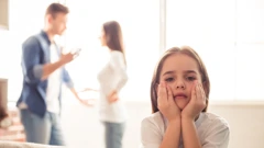 Visoko konfliktni razvodi