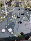 Nevrijeme u Bošnjacima, Foto: Čitatelj/HRT