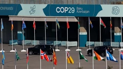 COP29