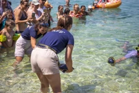 U more vraćena Victorija, oporavljena jedinka glavate želve, Foto: Sasa Miljevic/PIXSELL